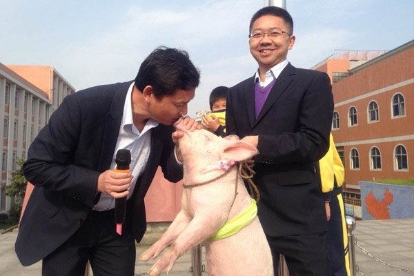 一校长与猪接吻照片红遍网络