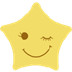 TwinkStar星愿浏览器 V7.5.1000.2102 便携版