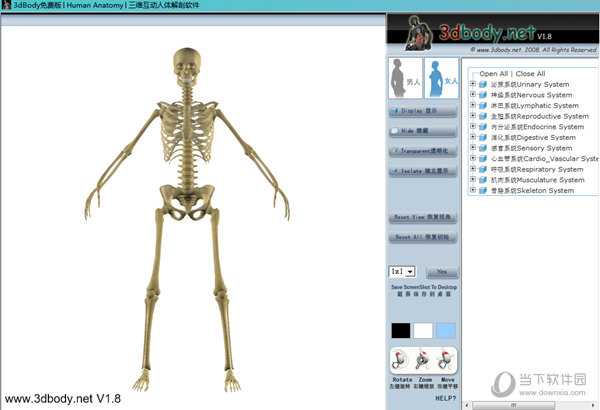 3DBody解剖电脑免费版