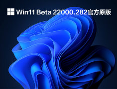 Win11 22000.282 预览版 V2021.10