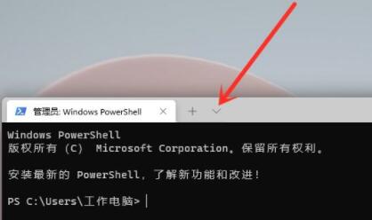 Windows11命令提示符怎么打开？Windows11命令提示符打开方法分享
