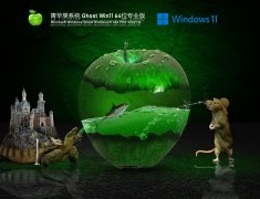 青苹果系统 Ghost Win11 64位专业版 V2021.10