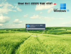 Ghost Win11 64位 ISO 专业正式版 V2021.11