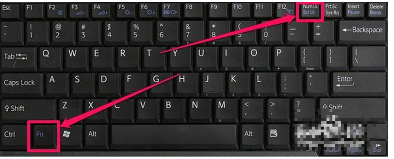 笔记本键盘打不出字?小鱼教您解决键盘失灵的问题