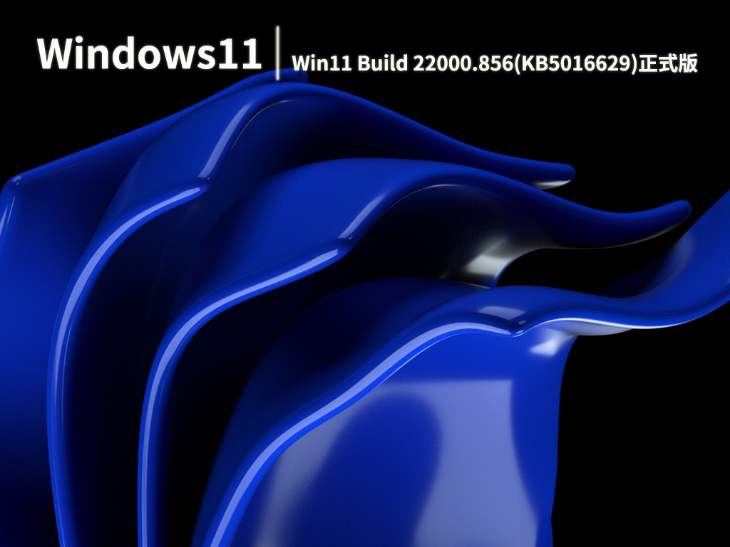 Win11 22000.856|Win11 Build 22000.856(KB5016629)正式版 V2022.08
