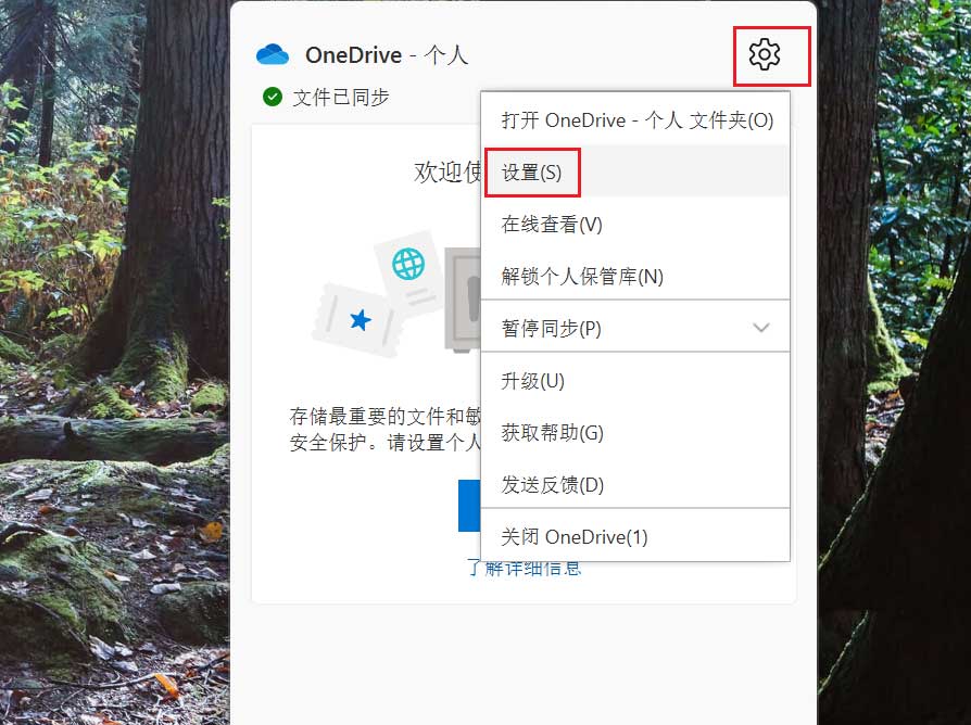 OneDrive个人保管库怎么自动锁定 win11系统自动锁定OneDrive个人保管库的方法教程
