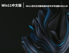 Win11中文版下载|Win11官方正式版系统64位中文专业版V2022.09