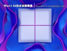 Win11 64位企业版镜像|Ghost Win11中文企业版多驱动 V2022