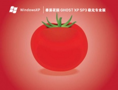 番茄花园 Ghost XP SP3 稳定专业版 V2023