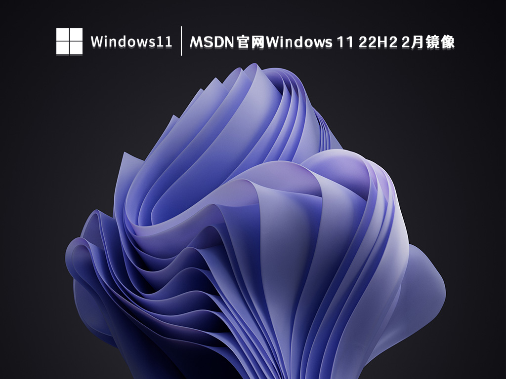 MSDN官网 Windows 11 22H2 2月镜像
