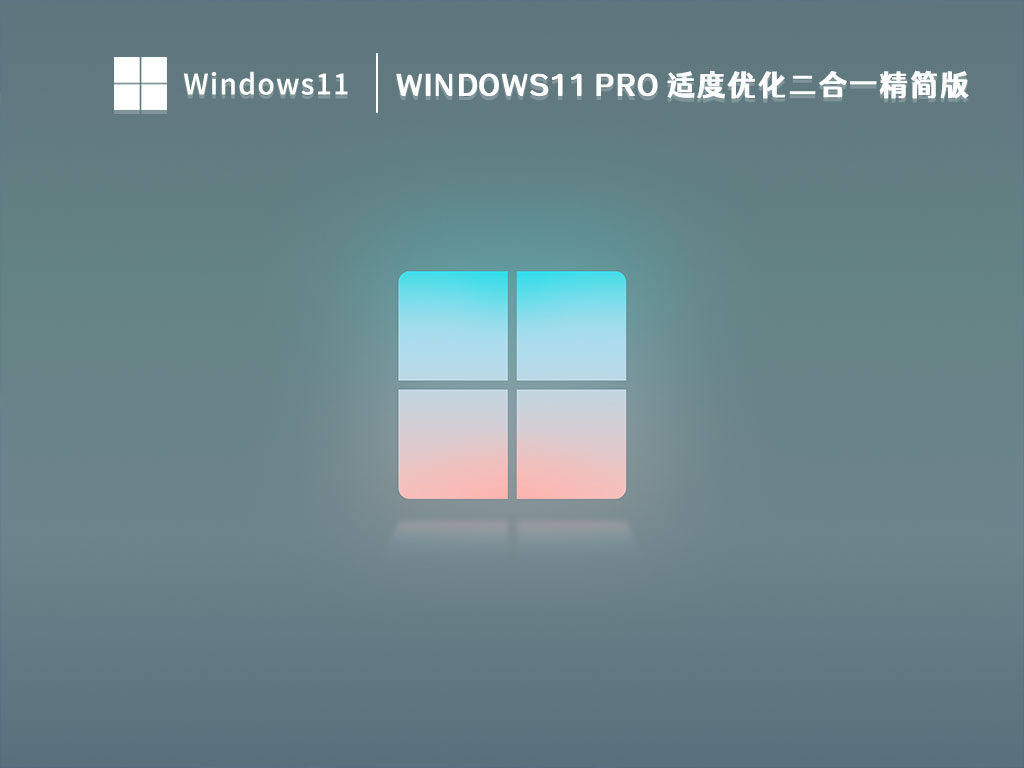 Windows11 Pro 适度优化二合一精简版 V2023