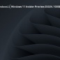 Windows 11 Insider Preview 25324.1000原版镜像 V2023