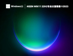 MSDN Win11 22H2专业正版镜像 V2023