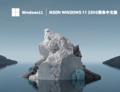 MSDN Windows11 22H2简体中文版 V2023