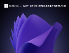 Win11 22H2 64位 官方正式版 V22621.1635