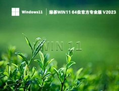 绿茶Win11 64位官方专业版 V2023