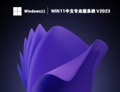 win11中文专业版系统 V2023