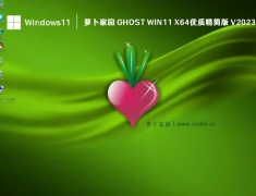 萝卜家园 ghost Win11 X64优质精简版 V2023