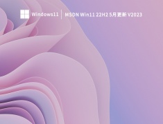 MSDN Win11 22H2 5月更新 V2023