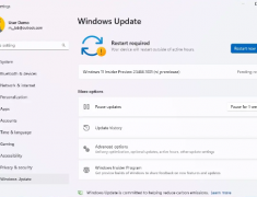 微软宣布Windows 11 Insider Preview Build 23466.1001 Dev预览版推送了！