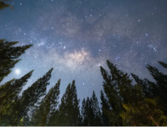 光污染导致夜空亮度增加：未来孩子或只能看到少数星星