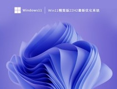 Win11精简版22H2最新优化系统 V2023.03