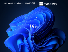 Windows 11 64位正式专业版 V2023