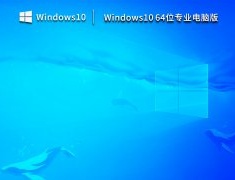 Windows10 64位专业电脑版 安装包 V2023