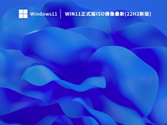 Win11正式版iso镜像最新(22H2新版) V2023
