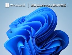 微软 Windows11 简体中文版 V2023