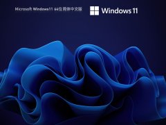 Windows11 简体中文版镜像 V2023