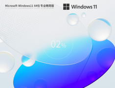 Windows11 22H2 64位 专业精简版 V2023.09